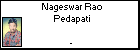 Nageswar Rao Pedapati