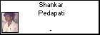 Shankar Pedapati