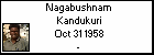 Nagabushnam Kandukuri